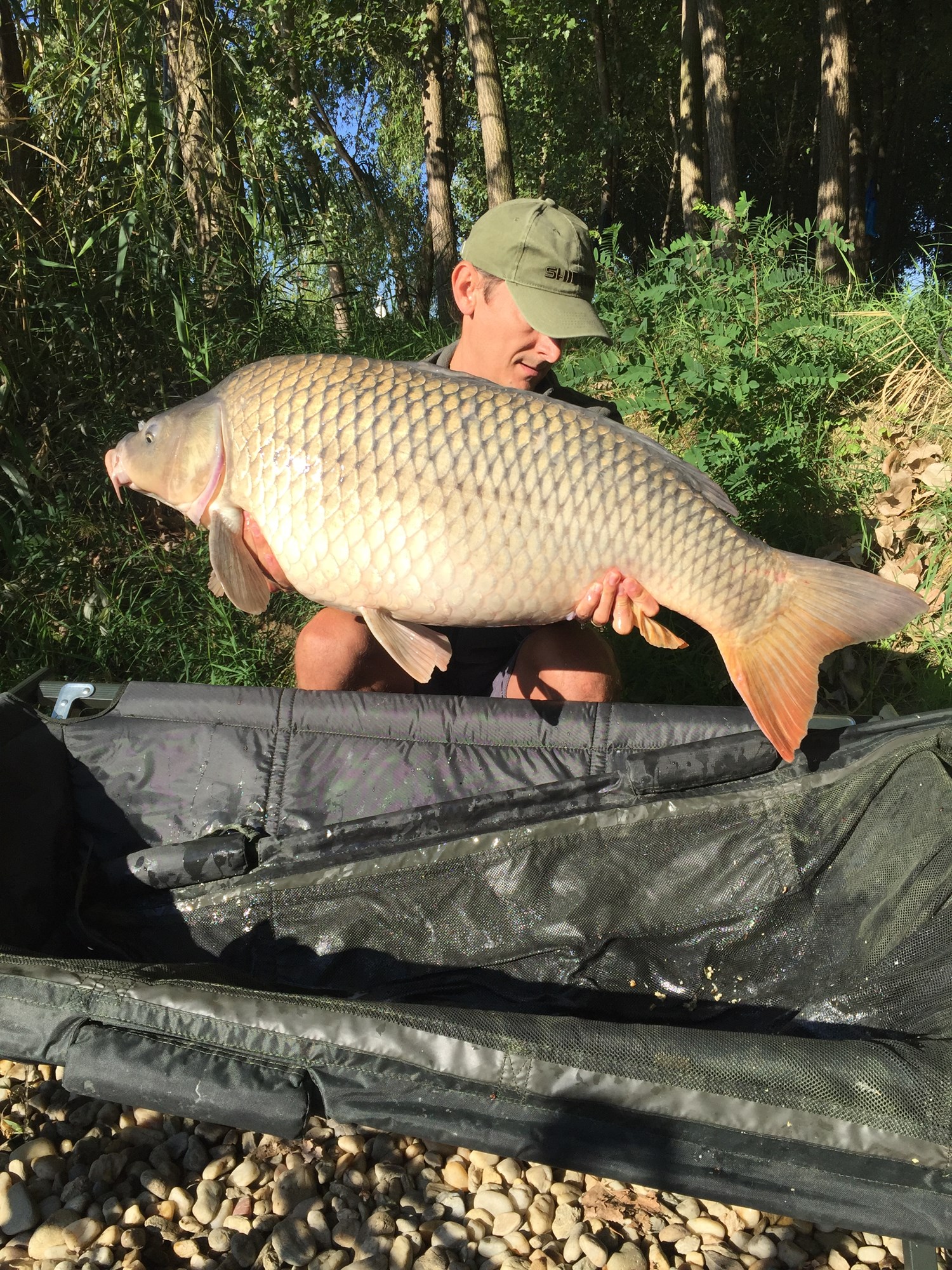 Noutat - F7C0F343F7AB4D08B8092EA9FB9ABA10.jpg